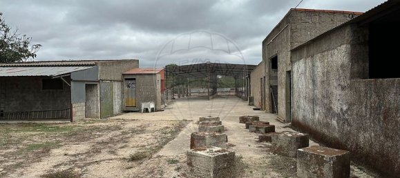 1 bedroom House in Coruche, Portugal No. 18136 10