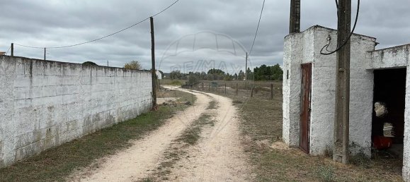 1 bedroom House in Coruche, Portugal No. 18136 9