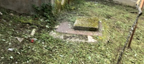 3 bedrooms House in Celorico da Beira, Portugal No. 18717 2