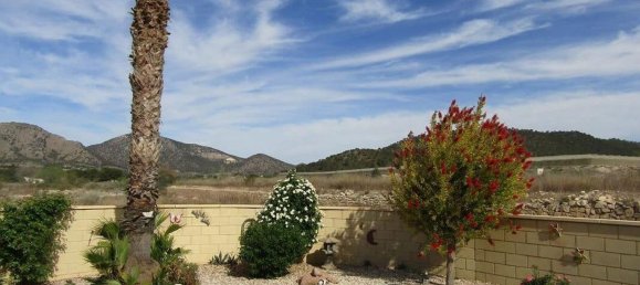 4 chambres Maison à La Romana, Spain No. 94589 31