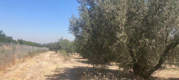  Land in Hamm, Germany No. 354993 3