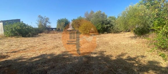 4 غرف نوم منزل في Olhao, Portugal رقم 249237 17