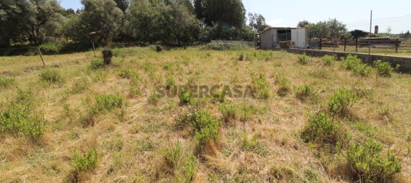 Terreno en Anobra, Portugal No. 169107 4