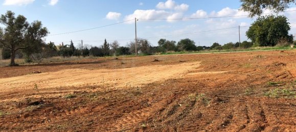 Земельный участок 3234м² в Алмансил, Португалия № 146635 18