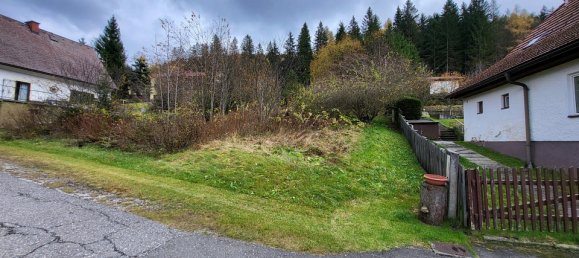 846m² Land in Hohentauern, Austria No. 69513 2