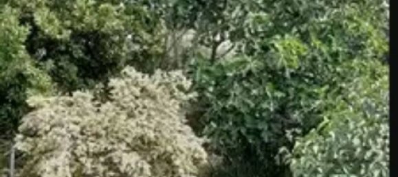 4-salle Villa à Crecchio, Italy No. 178564 5