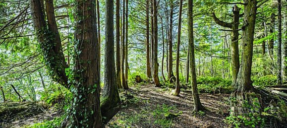 2 bedrooms House in British Columbia, Canada No. 1199 2