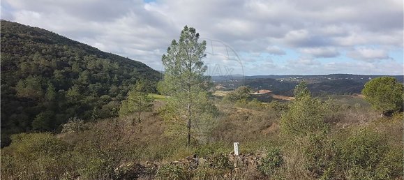 18300m² Land in Loule, Portugal No. 39322 3