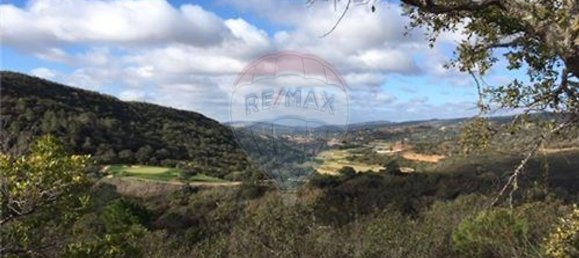 18300m² Land in Loule, Portugal No. 39322 2