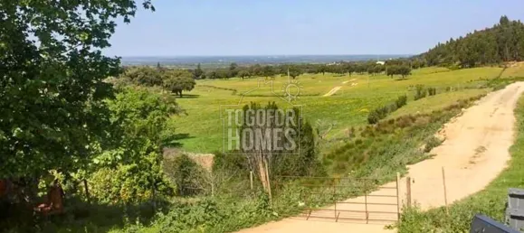 Casa T6 em Portalegre, Portugal N.º 136587 14