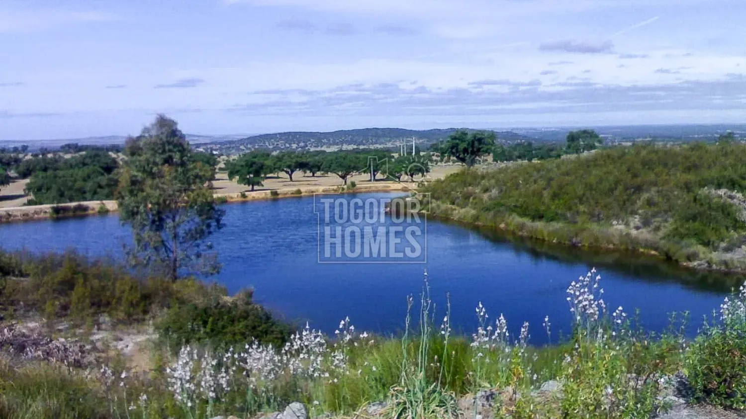 Casa T6 em Portalegre, Portugal N.º 136587