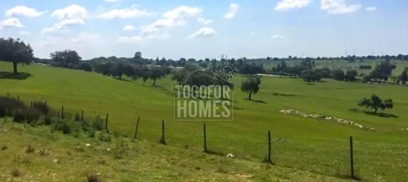 Casa T6 em Portalegre, Portugal N.º 136587 5