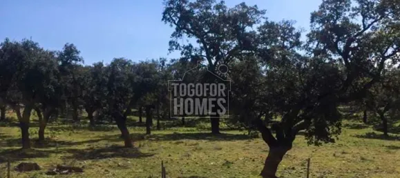 Casa T6 em Portalegre, Portugal N.º 136587 12