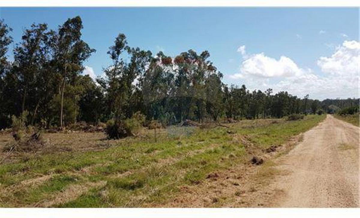  Land in Maldonado, Uruguay No. 14388