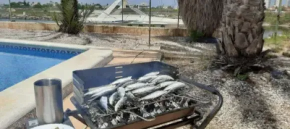  قطعة أرض في Murcia, Spain 465متر مربع رقم 116689 2