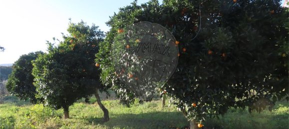 3 غرف نوم منزل في Vila Velha de Rodao, Portugal رقم 178494 3