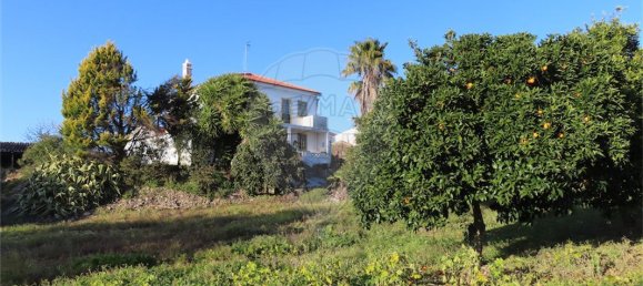 3 غرف نوم منزل في Vila Velha de Rodao, Portugal رقم 178494 6