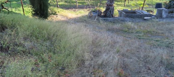 3 غرف نوم منزل في Vila Velha de Rodao, Portugal رقم 178494 23