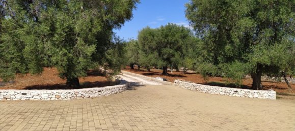 7 rooms Villa in San Vito dei Normanni, Italy No. 89492 3