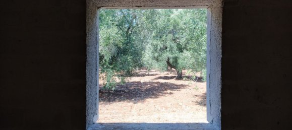 7 rooms Villa in San Vito dei Normanni, Italy No. 89492 26