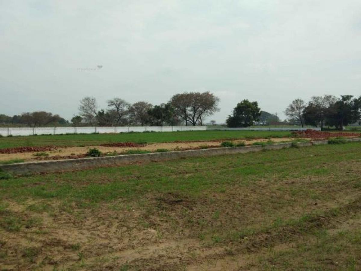  Land in Aligarh, India No. 34888