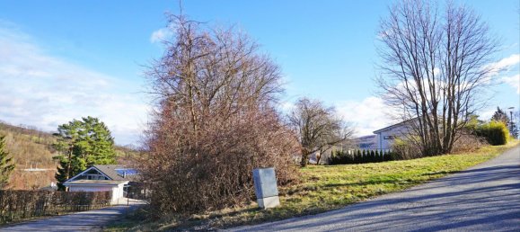 Grundstück in Pressbaum, Austria, Nr. 43455 6