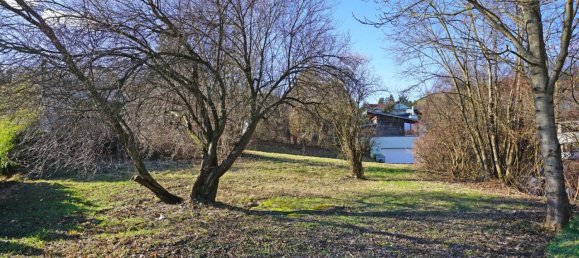 Grundstück in Pressbaum, Austria, Nr. 43455 4