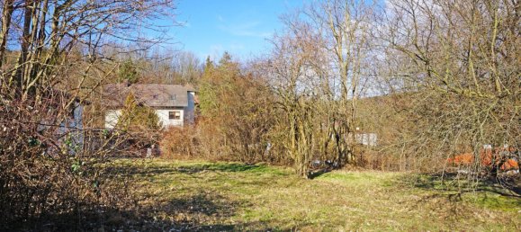 Grundstück in Pressbaum, Austria, Nr. 43455 2