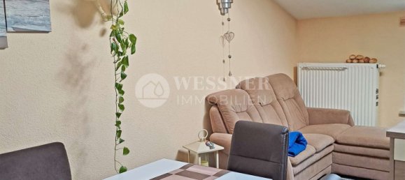 Коммерческая недвижимость 1541м² в Кифхойзер, Германия № 327649 7