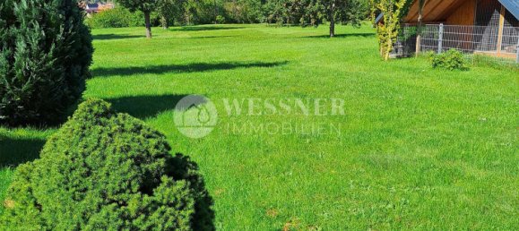 Коммерческая недвижимость 1541м² в Кифхойзер, Германия № 327649 15