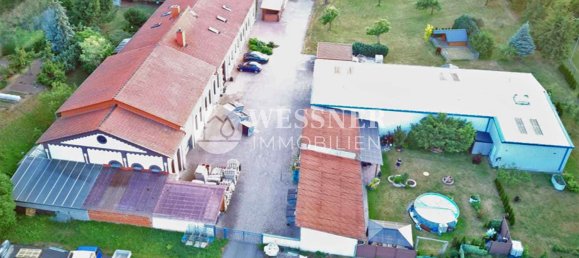 Коммерческая недвижимость 1541м² в Кифхойзер, Германия № 327649 37