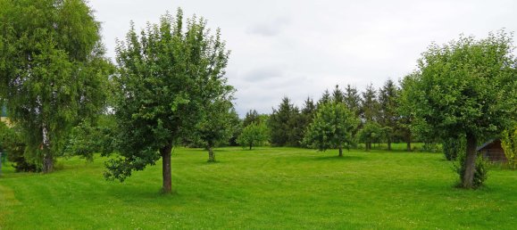 Коммерческая недвижимость 1541м² в Кифхойзер, Германия № 327649 18