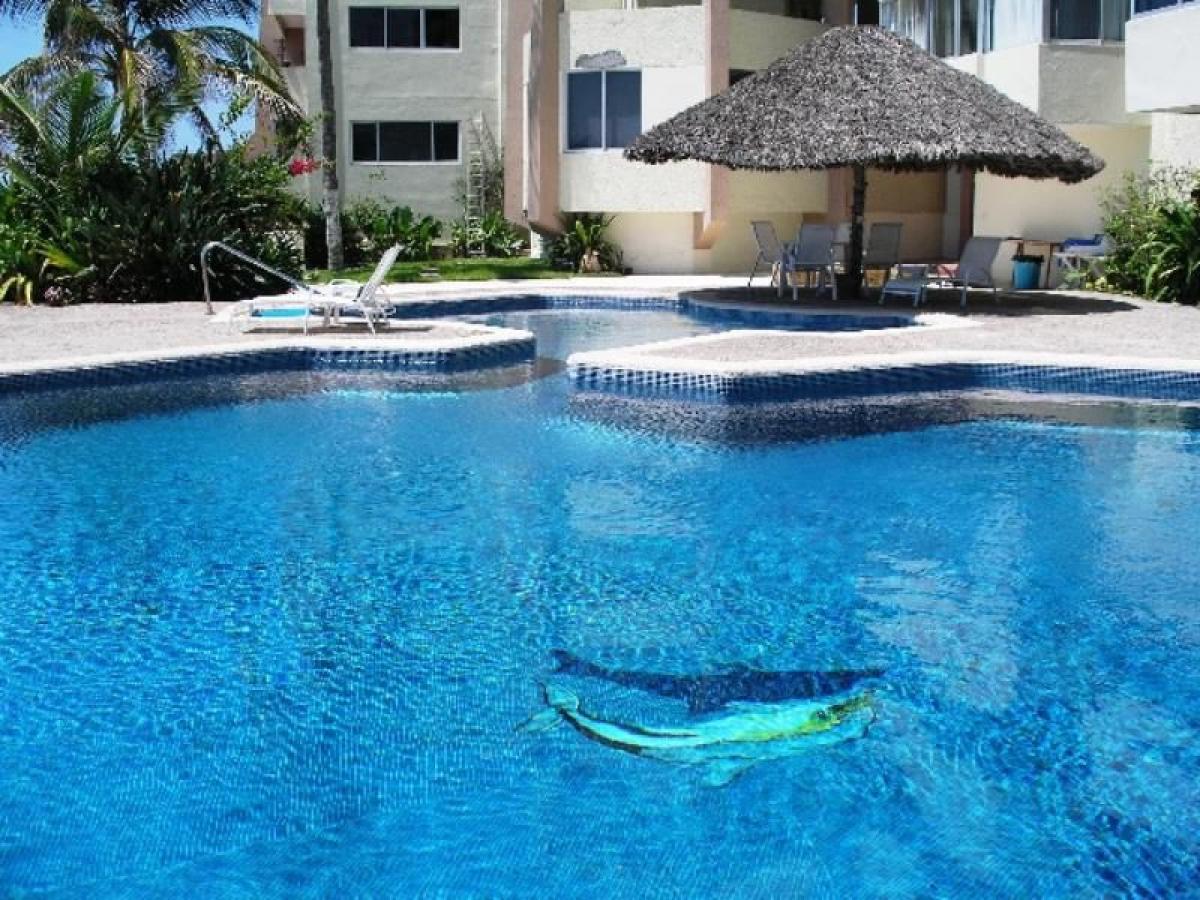 Studio in Sinaloa, Mexico, Nr. 156110