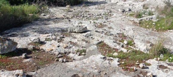 استوديو في Ispica, Italy رقم 236058 7