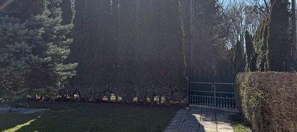 2غرفة منزل في Klosterneuburg, Austria رقم 194573 9