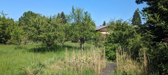 Grundstück in Bad Fischau-Brunn, Austria 984m², Nr. 191433 8