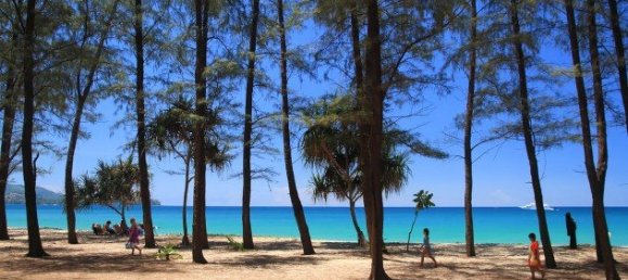 Земельный участок 11824м² в Пляж Лаян, Таиланд № 26008 6