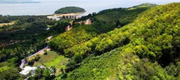 Земельный участок 11824м² в Пляж Лаян, Таиланд № 26008 3