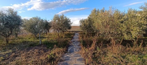 Terrain à Villares de la Reina, Spain No. 62438 7