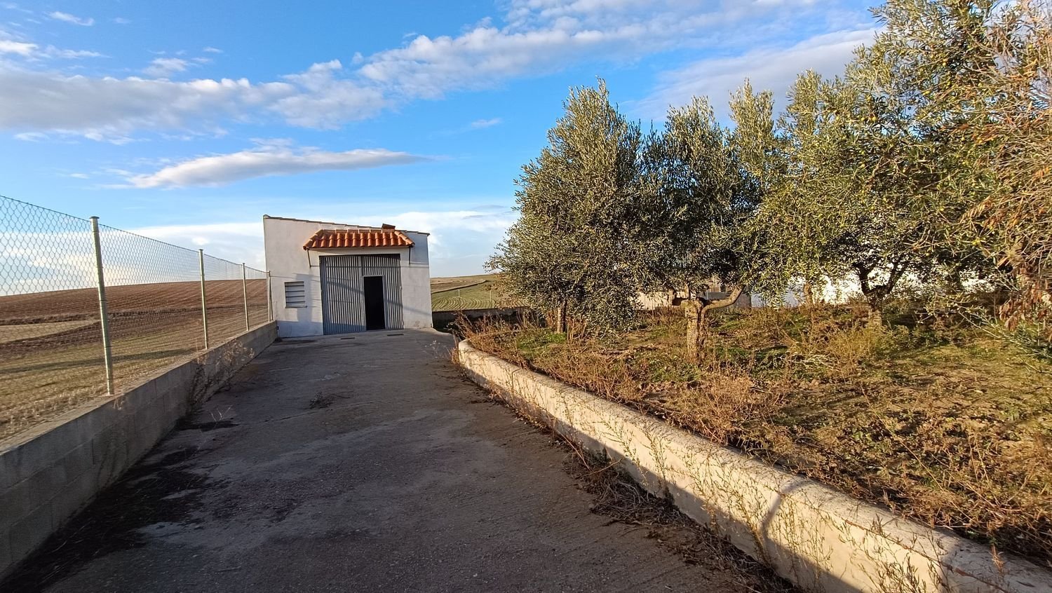 Terrain à Villares de la Reina, Spain No. 62438