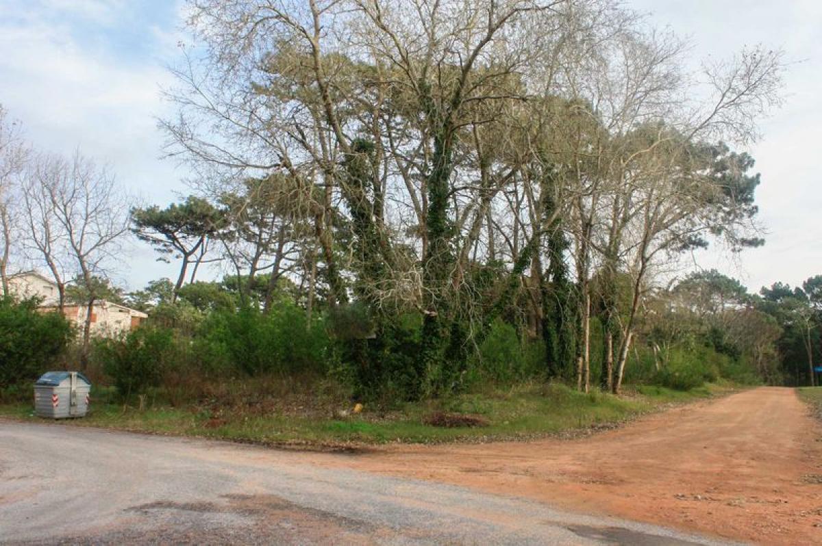  Land in Maldonado, Uruguay No. 15725