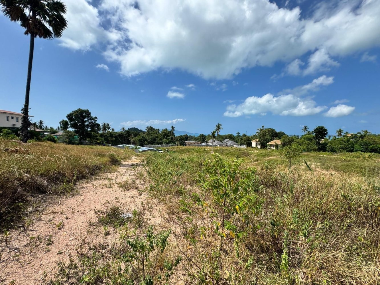 800m² Land in Ko Samui, Thailand No. 70807