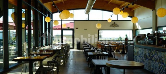 3 rooms Warehouse in Viareggio, Italy No. 102027 2