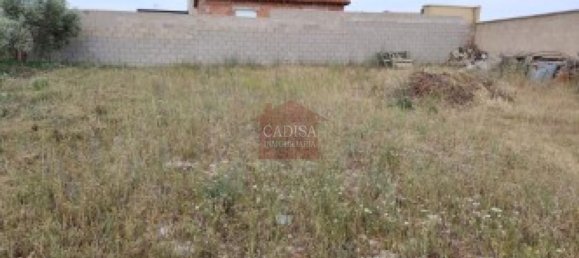 1500m² Land in Salamanca, Spain No. 62447 3