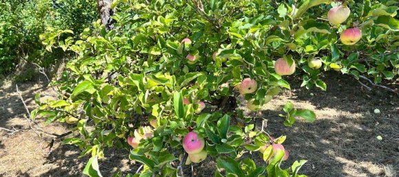 Land in Erfurt, Germany No. 304102 9