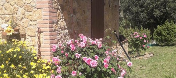 2-Zimmer Haus in Casale Marittimo, Italy, Nr. 221577 6