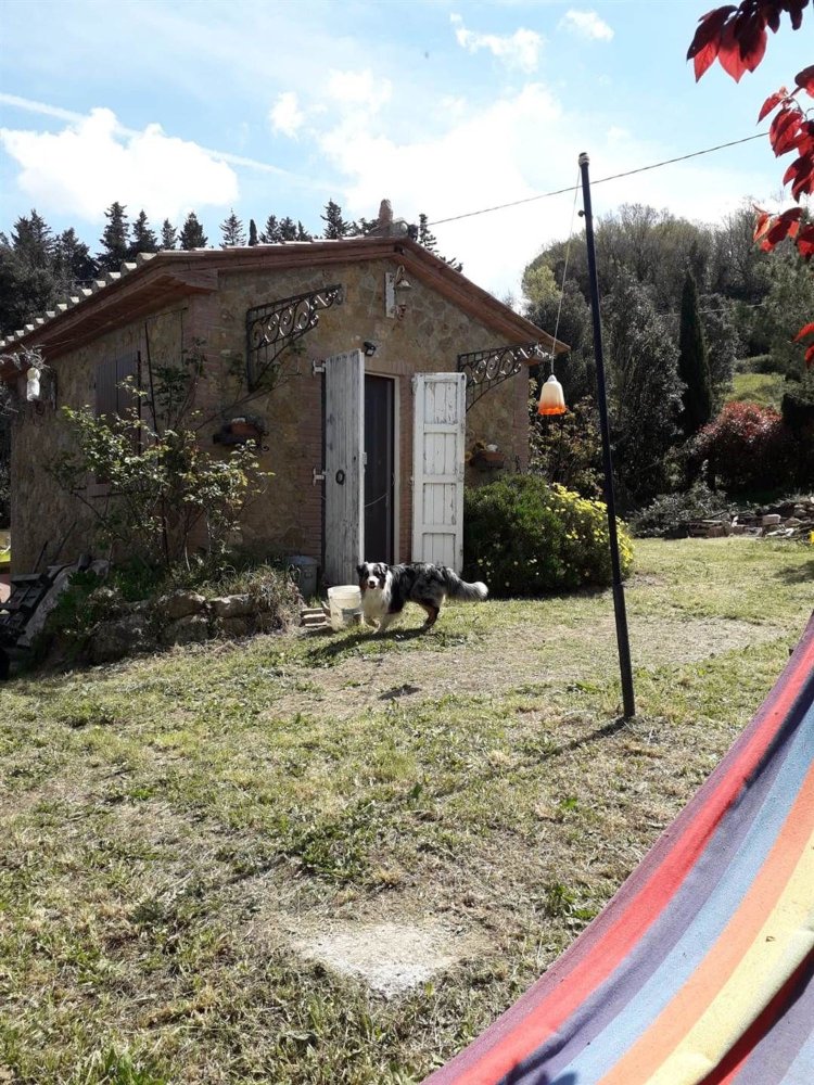 2-Zimmer Haus in Casale Marittimo, Italy, Nr. 221577