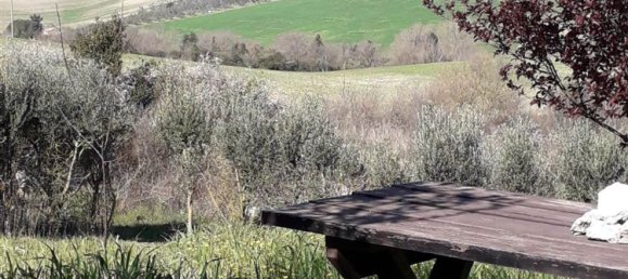 2-Zimmer Haus in Casale Marittimo, Italy, Nr. 221577 8