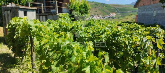 2 Schlafzimmer Schlösser in Santa Marta de Penaguiao, Portugal, Nr. 131195 13