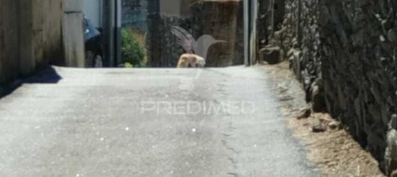 2 Schlafzimmer Schlösser in Santa Marta de Penaguiao, Portugal, Nr. 131195 4